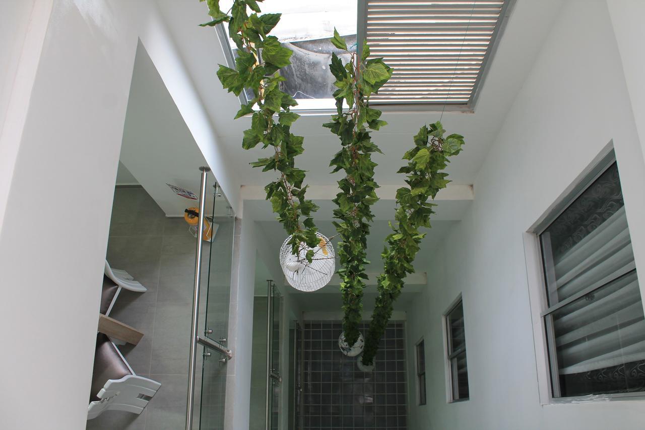 Hotel Guadalupe Plaza Pereira Ngoại thất bức ảnh